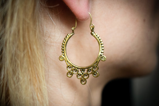 Elegance Loop Earrings