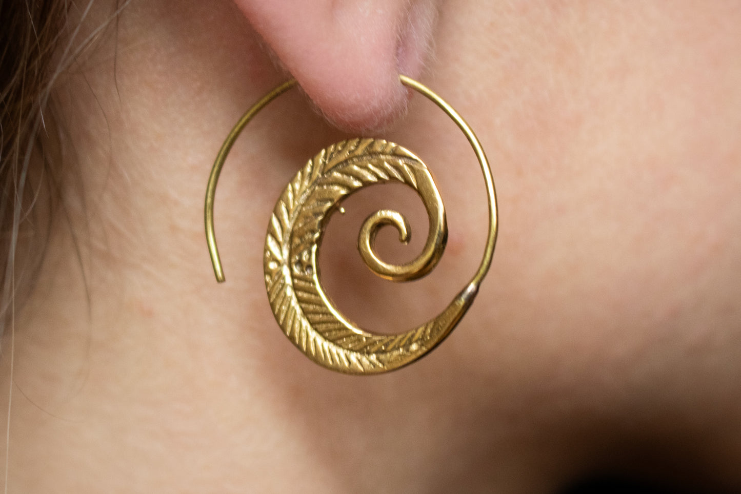 Brass Spiral Fern Earrings