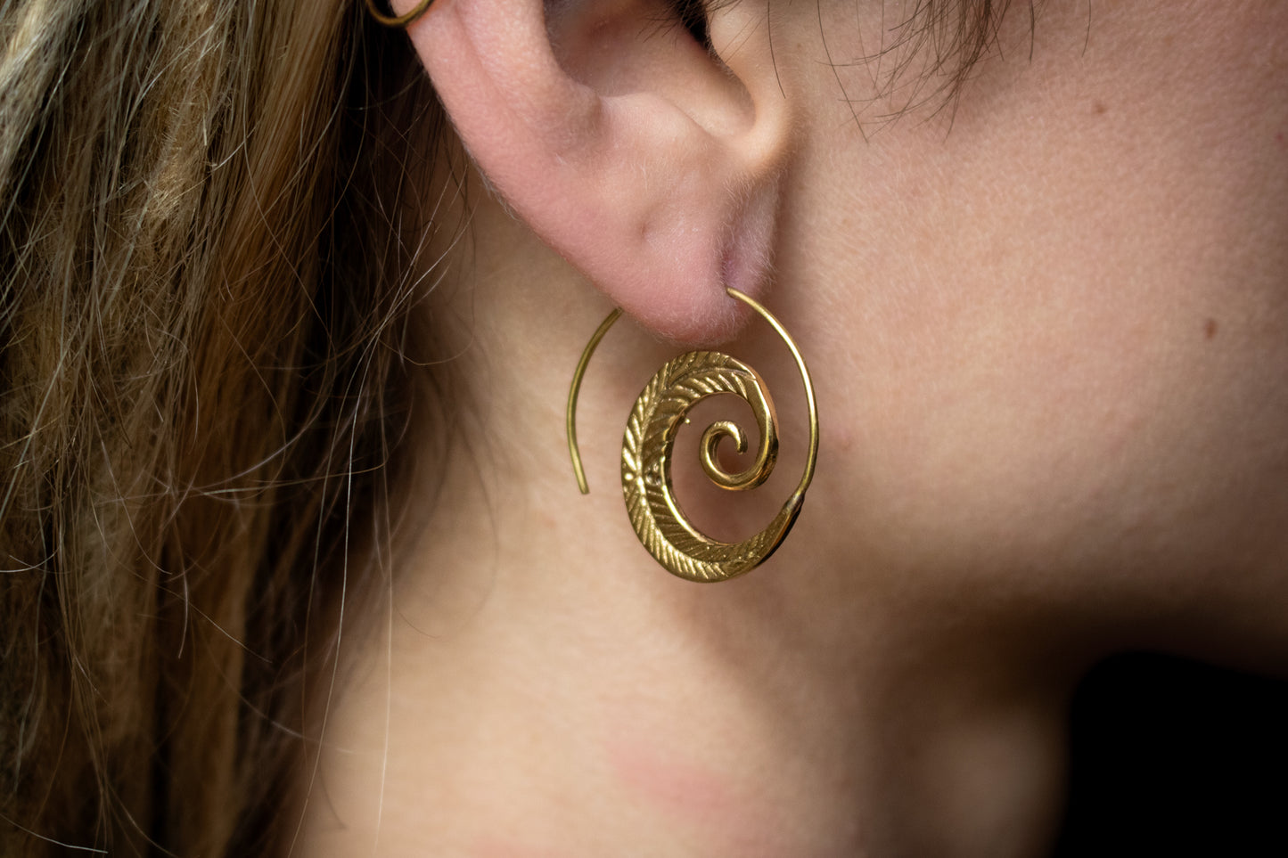 Brass Spiral Fern Earrings